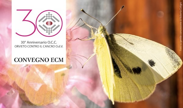 OCC festeggia i 30 anni di attività e investe sulla formazione degli operatori sanitari